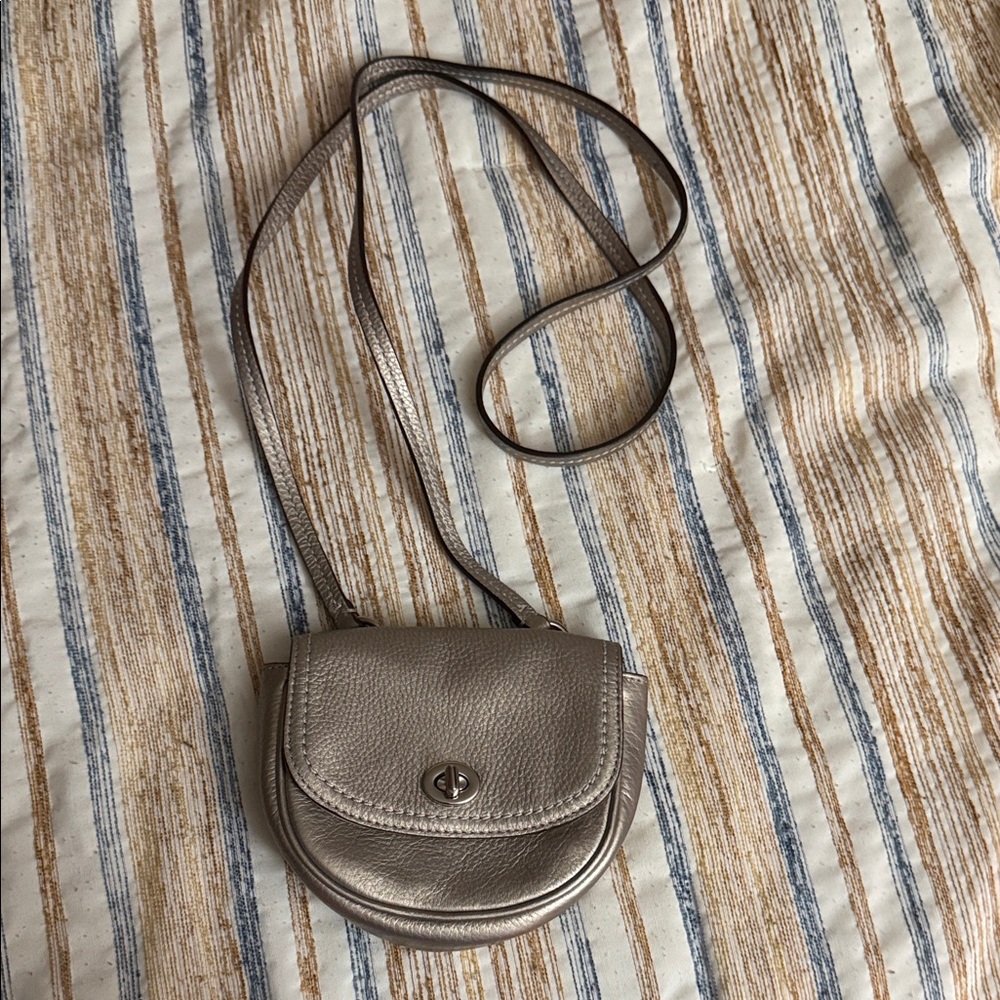 Coach Metallic Silver Crossbody Bag - Picture 1 of 13